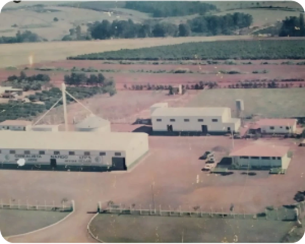 1989-nossa-historia